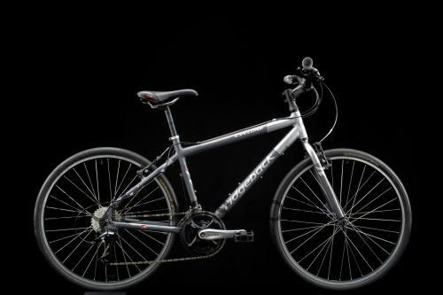 Ridgeback Cyclone ficha técnica y opiniones